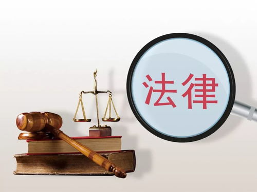 天津老人優待與補貼最新匯總 信息咨詢服務指南